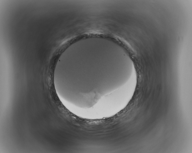 X0000111661303200908281101