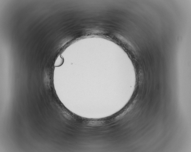 X0000111661305200908281101