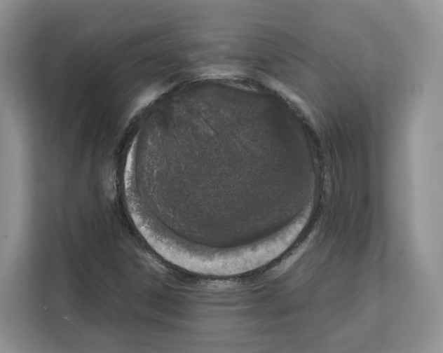 X0000111661306200908281101