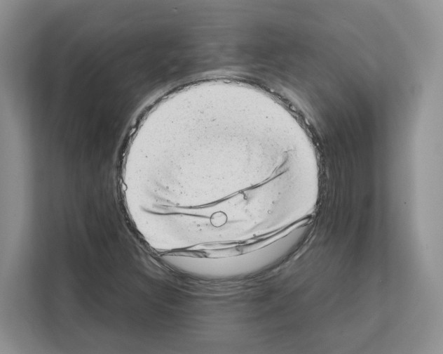 X0000111661308200908281101