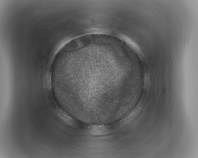 X0000111661310200908281101