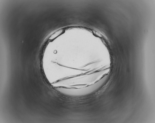 X0000111661311200908281101