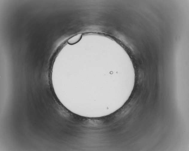 X0000111661312200908281101