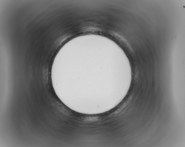 X0000111661313200908281101