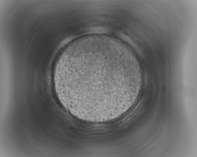 X0000111661315200908281101