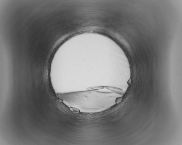 X0000111661316200908281101