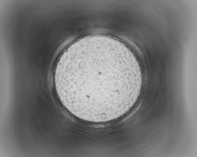 X0000111661317200908281101