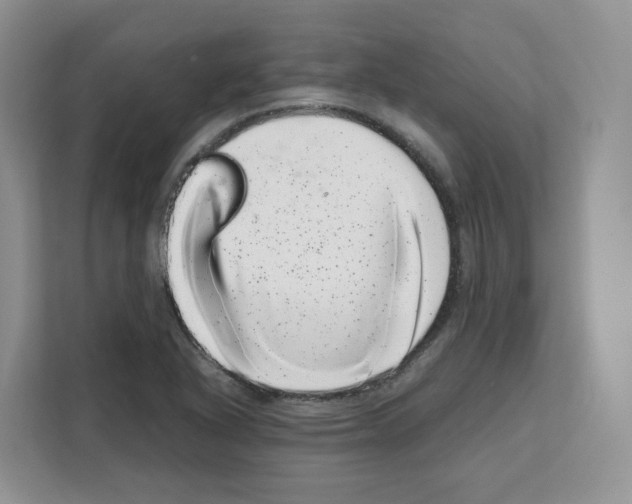 X0000111661318200908281101