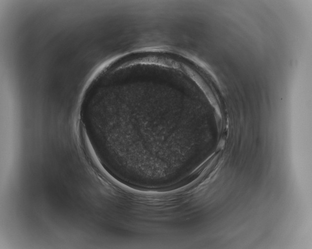 X0000111661319200908281101