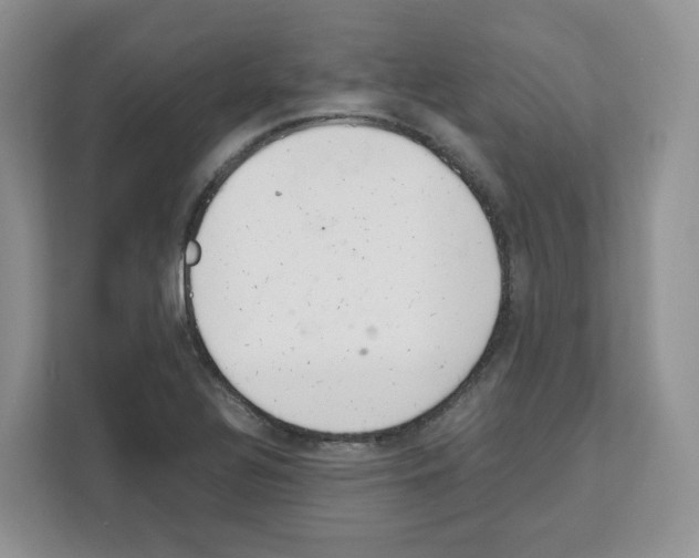 X0000111661320200908281101