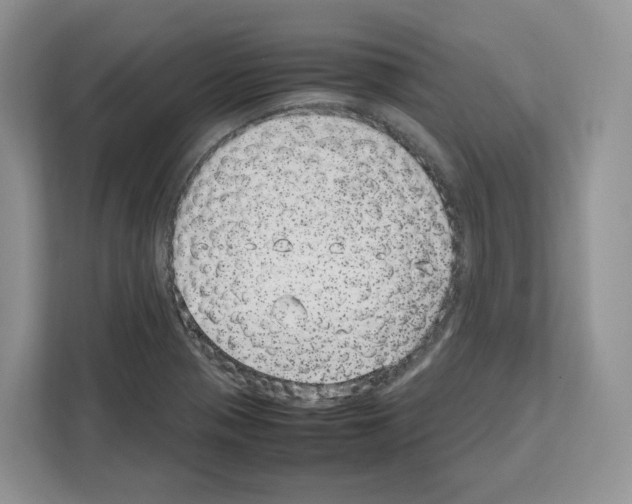 X0000111661321200908281101