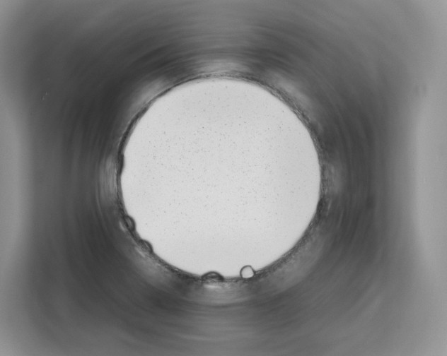 X0000111661322200908281101