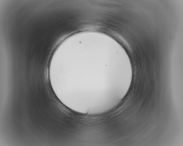 X0000111661324200908281101