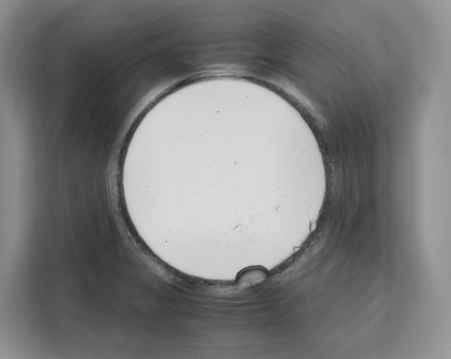 X0000111661325200908281101