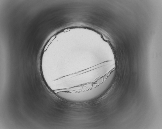 X0000111661326200908281101