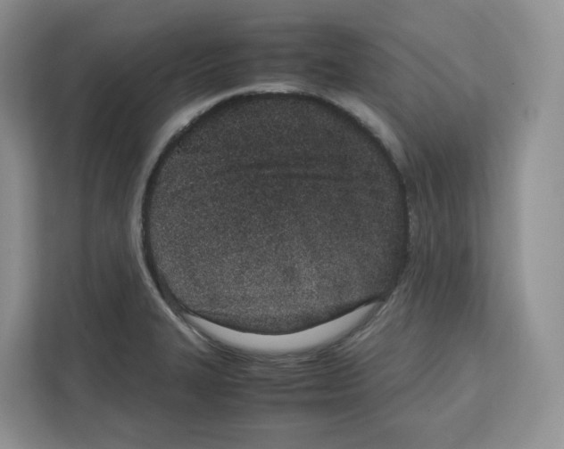 X0000111661327200908281101