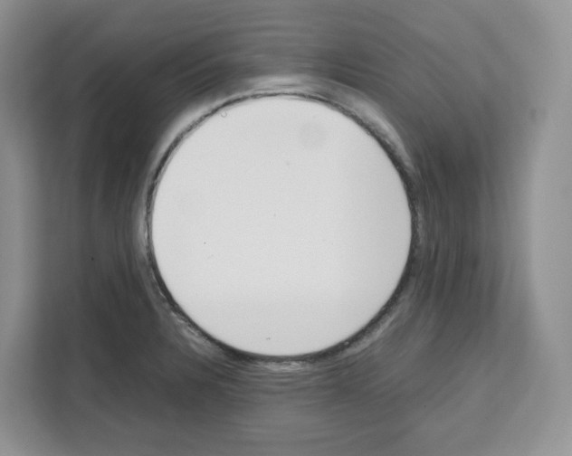 X0000111661328200908281101