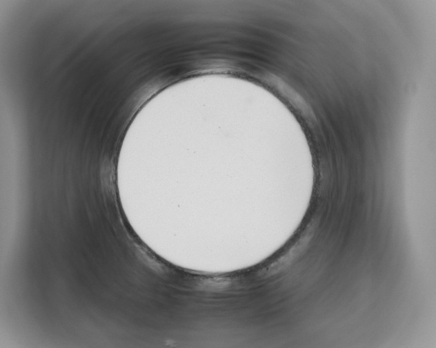 X0000111661329200908281101