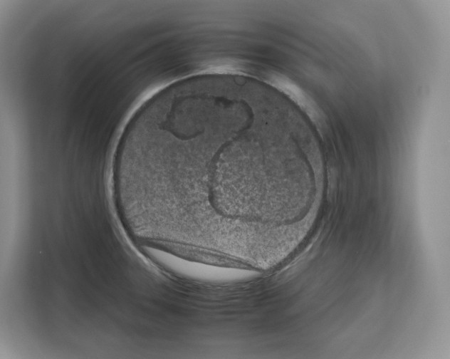 X0000111661331200908281102