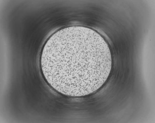 X0000111661333200908281102