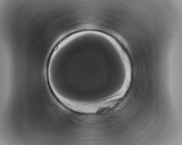 X0000111661334200908281102