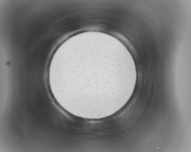 X0000111661335200908281102