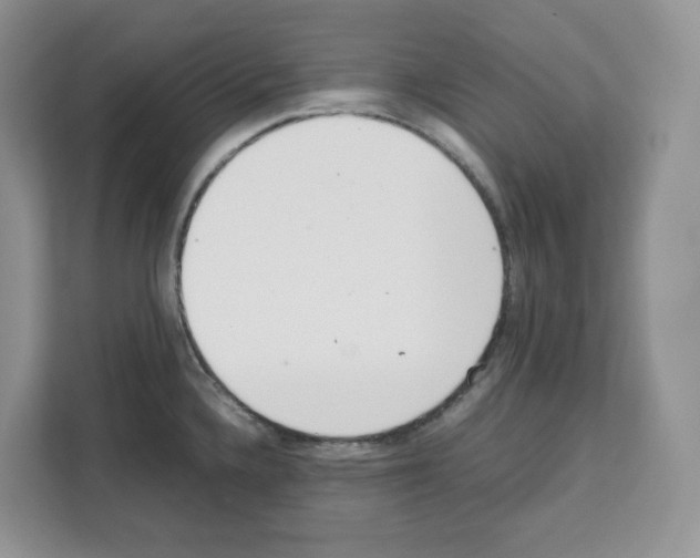 X0000111661336200908281102