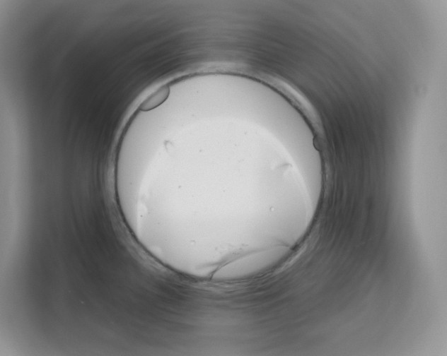 X0000111661340200908281102