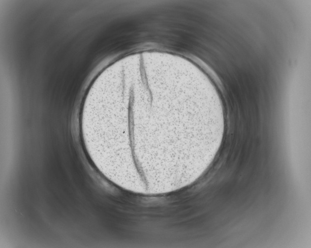 X0000111661341200908281102