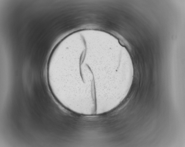 X0000111661343200908281102