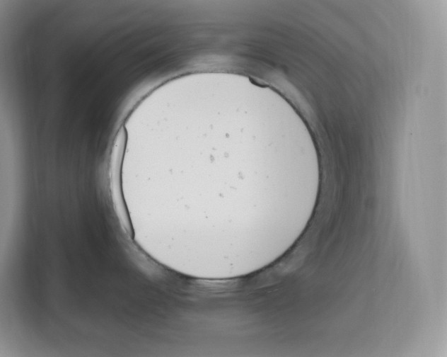 X0000111661344200908281102