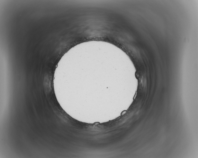 X0000111661348200908281101