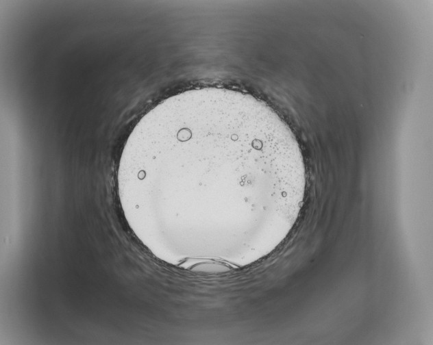 X0000111661349200908281101