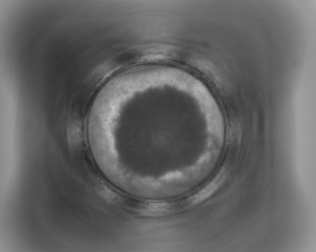 X0000111661353200908281101