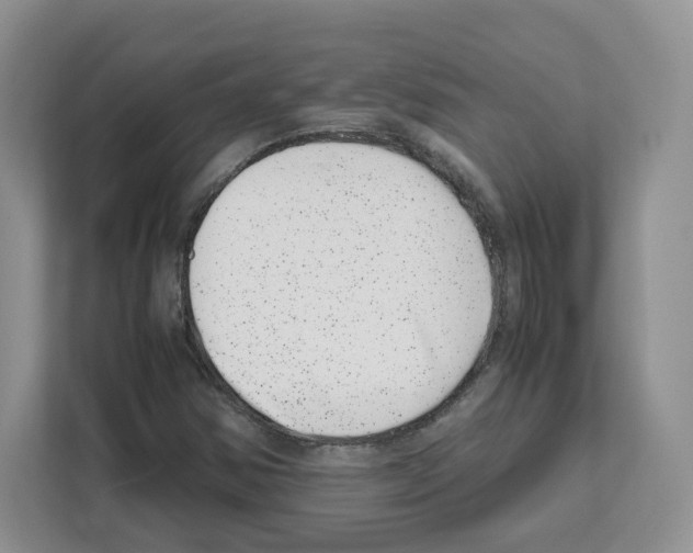 X0000111661354200908281101