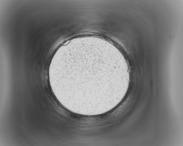 X0000111661355200908281101