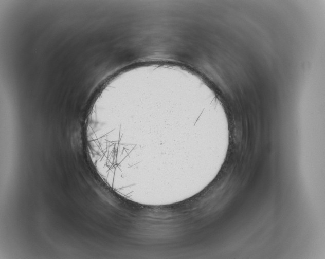 X0000111661356200908281101