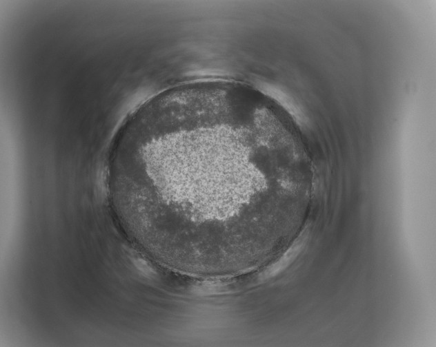 X0000111661357200908281101