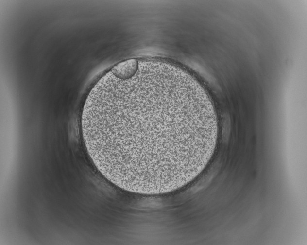 X0000111661358200908281101