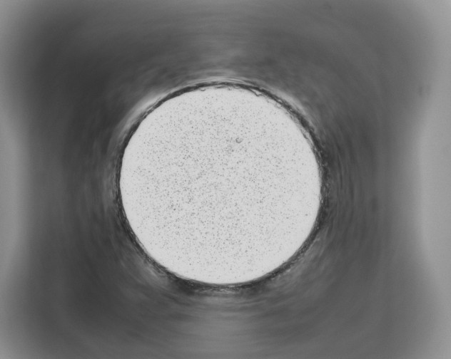 X0000111661359200908281101