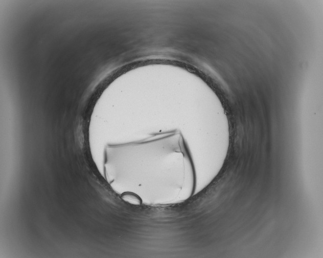 X0000111661360200908281101