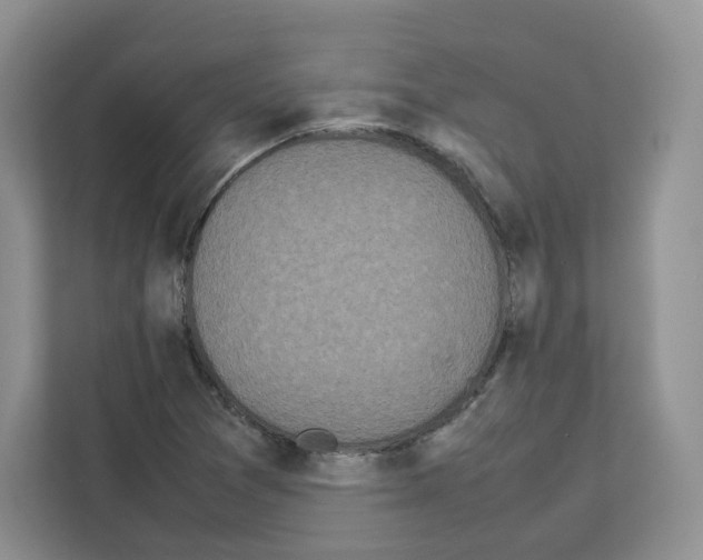 X0000111661361200908281101