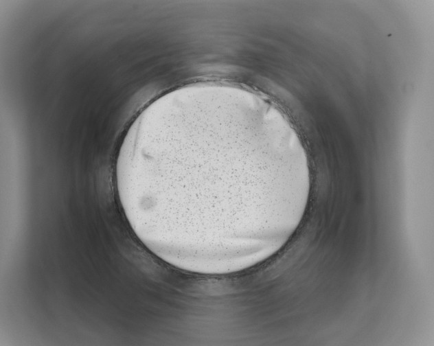 X0000111661362200908281101