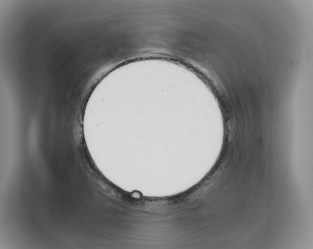 X0000111661363200908281101