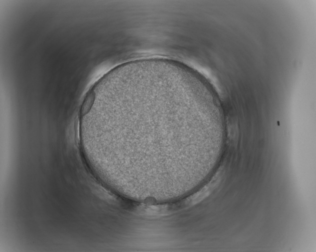 X0000111661365200908281101