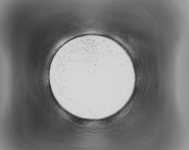 X0000111661367200908281101