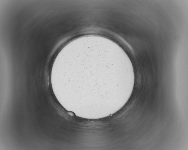 X0000111661368200908281101