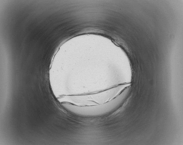 X0000111661369200908281101