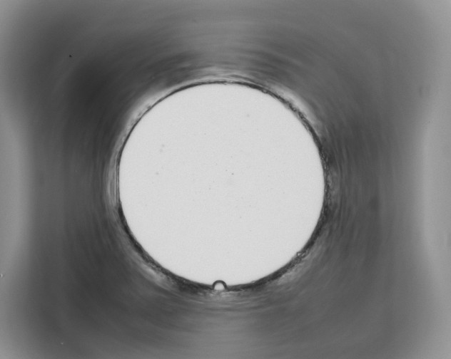 X0000111661371200908281101