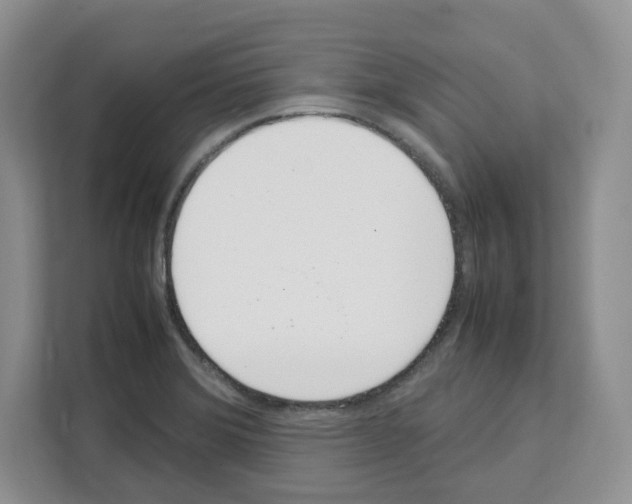 X0000111661372200908281101